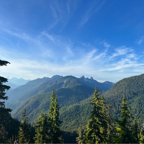 Meet your Posher, Madeline - Picture 1 of 1